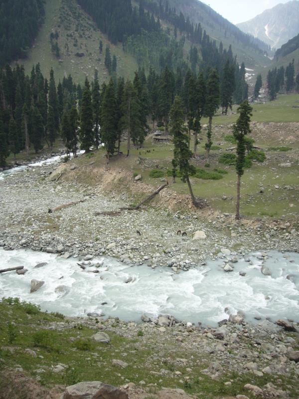 Travel - India - Kashmir - Aru - Lidderwat Expedition